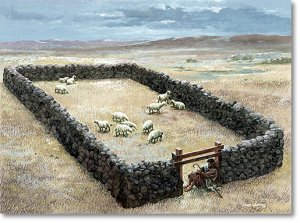 sheepfold