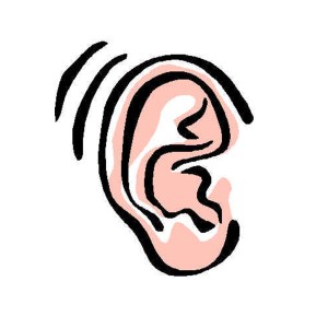 Ear