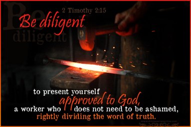 2-tim-2-15-web-watermarked.jpg