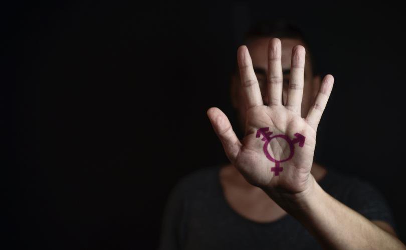 gender_theory_810_500_75_s_c1